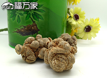 文山三七选方法