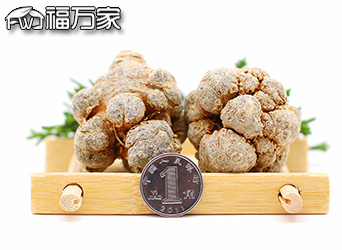 文山三七地道性