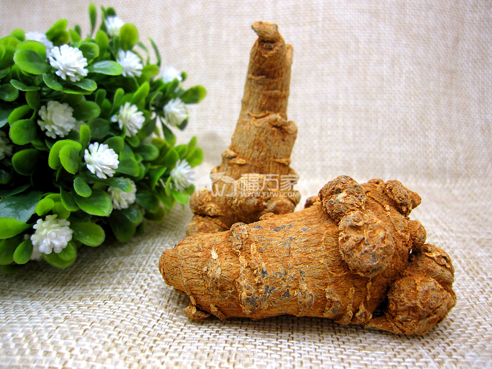 云南三七治疗便血