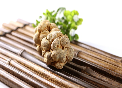 三七治疗脑出血的原因