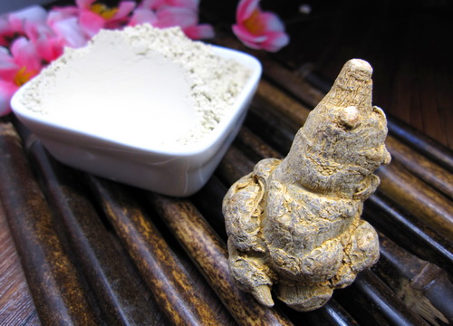 三七粉能改善肝脏微循环