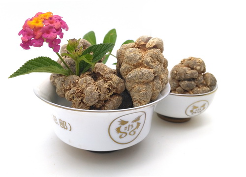 文山三七 文山三七