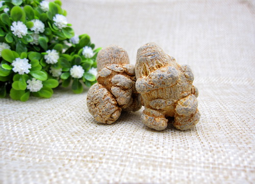 文山三七 文山三七