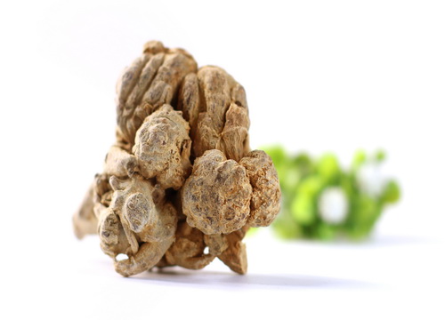 三七可以补气血 三七可以补气血