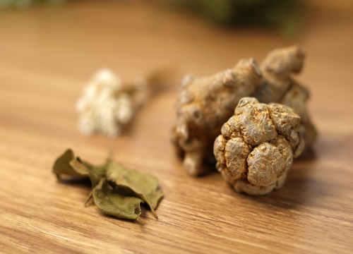 文山三七 文山三七