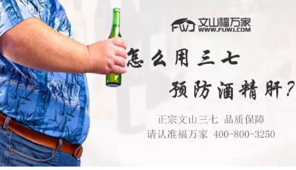 怎么用三七预防酒精肝