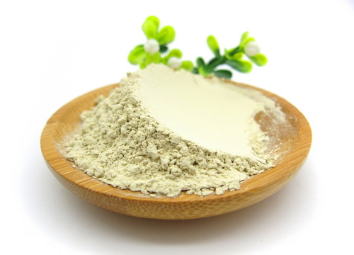 三七粉对女性的功效 三七粉对女性的功效