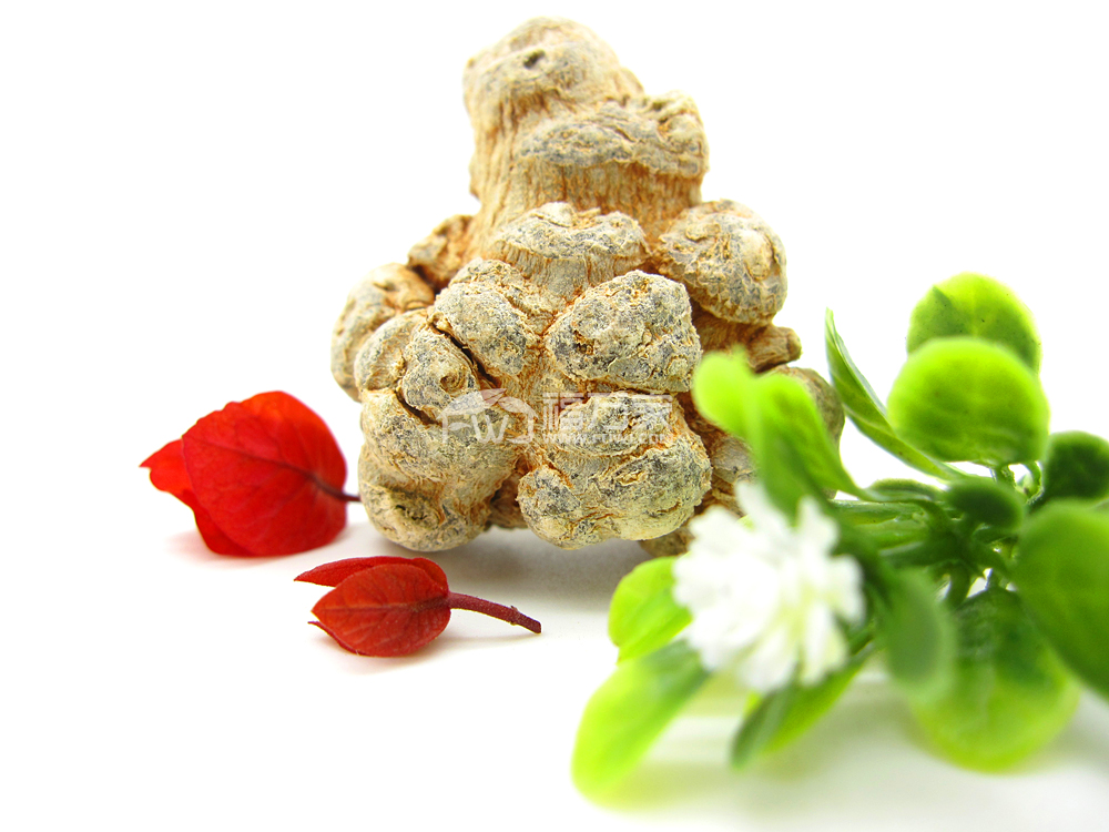 1554193217105832.jpg 1554193217105832.jpg