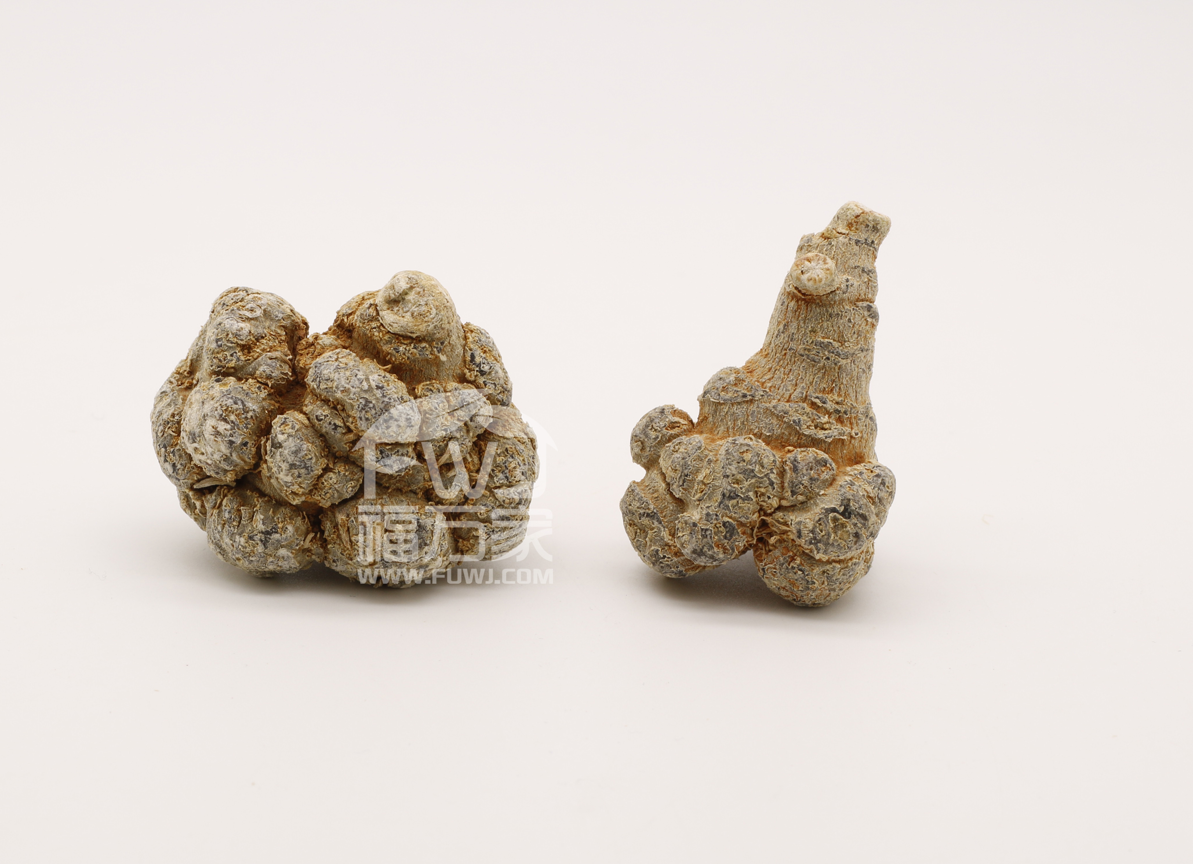 20头三七和30头三七