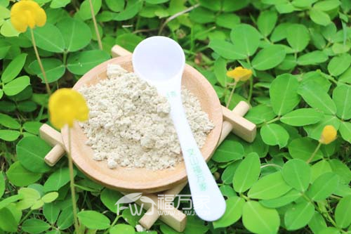 三七粉提高免疫力